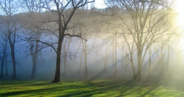 Sabah yağış yağacaq – PROQNOZ