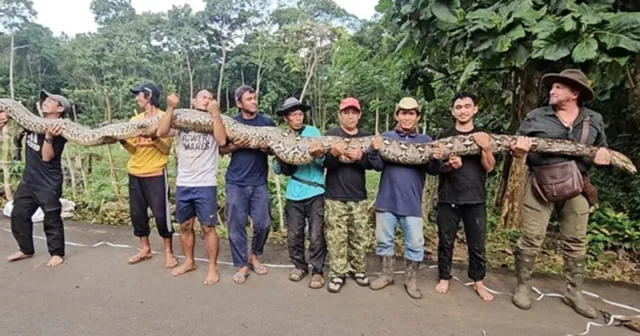 Dünyanın ən uzun ilanı adını aldı – FOTO
