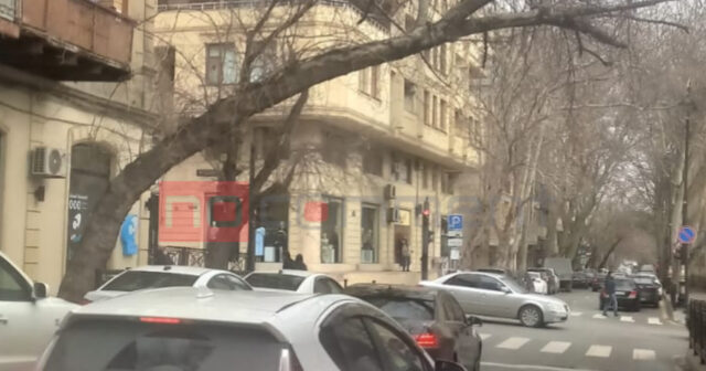 Nəsimidə kritik vəziyyət: Ağaclar hər an aşa bilər – Qurumlar niyə susur? – VİDEO