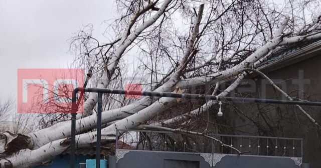 Biləsuvar və Cəlilabadda güclü külək fəsadlar törədib – FOTO Biləsuvar və Cəlilabadda güclü külək fəsadlar törədib – FOTO