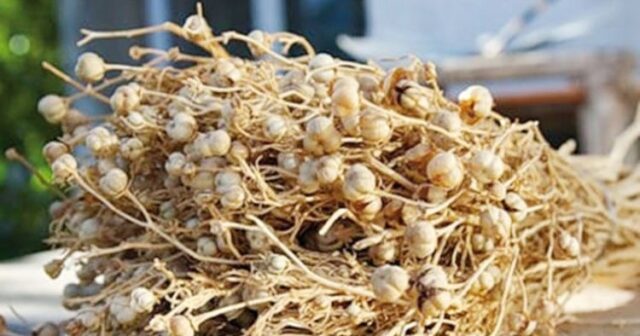 Nazirlik bu məhsulu QADAĞAN ETDİ – ŞOK zərərləri bunlardır Nazirlik bu məhsulu QADAĞAN ETDİ – ŞOK zərərləri bunlardır