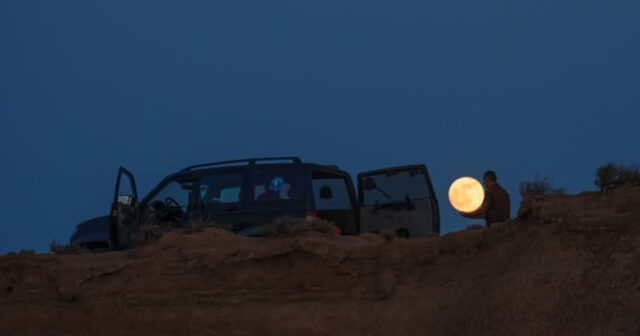 Qobustanda Ayı “oğurladılar” – FOTO
