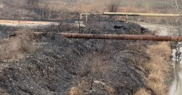 Ucarın 11 kəndi qazsız qaldı: “Yemək bişirə, çay qızdıra bilmirik” – VİDEO