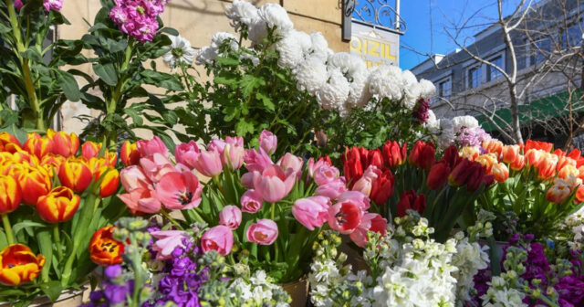 14 fevral üçün sevgiliyə nə bağışlamalı? – Bakıda gül və hədiyyələrin QİYMƏTİ