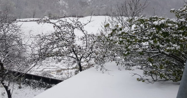 Basqal ərazisində qarlı hava – VİDEO