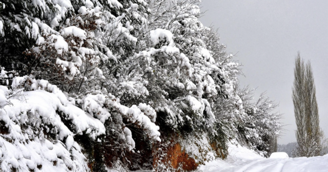 Bu ərazilərə yarım metr qar yağdı