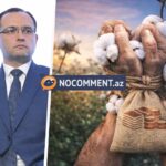 Pambıqçılıqda böhran: Fermer niyə “qul əməyinə” məhkum edilir? 