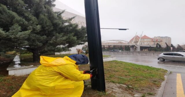 NİİM işıqforlarla bağlı hərəkət iştirakçılarına müraciət edib