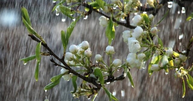 XƏBƏRDARLIQ! – Bu tarixdən şiddətli yağış YAĞACAQ