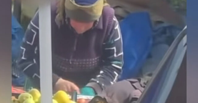 Almanı tüpürcəklə təmizləyən qadın – “Nəvələrimə almışdım” – VİDEO Almanı tüpürcəklə təmizləyən qadın – “Nəvələrimə almışdım” – VİDEO