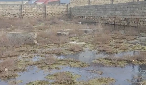 Bahar qəsəbəsində həll olunmayan kanalizasiya problemi: çirkab sular ətrafı basır – VİDEO