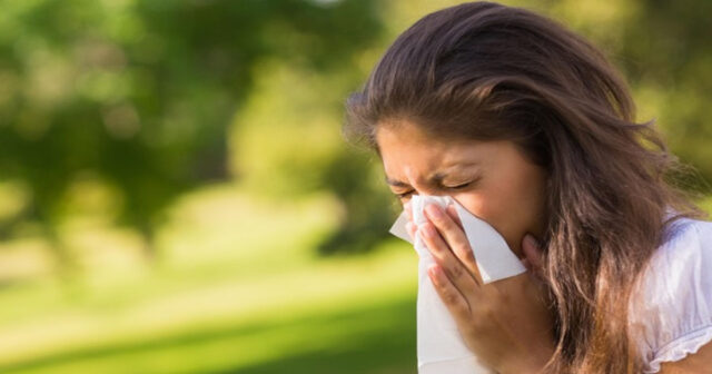 Yaz allergiyasından əziyyət çəkirsiniz?