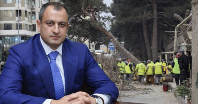 Adil Əliyevin qadınlara 8 Mart “hədiyyəsi” – FOTO