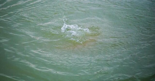 7 yaşlı qız kanalda boğuldu