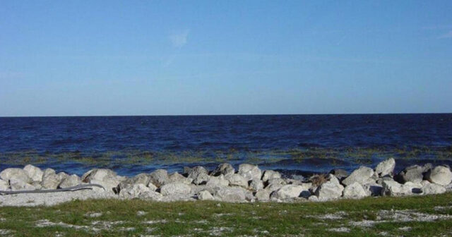 Orda 30 min alliqator yaşayır: Planetin ən təhlükəli göllərindən biri hansıdır?