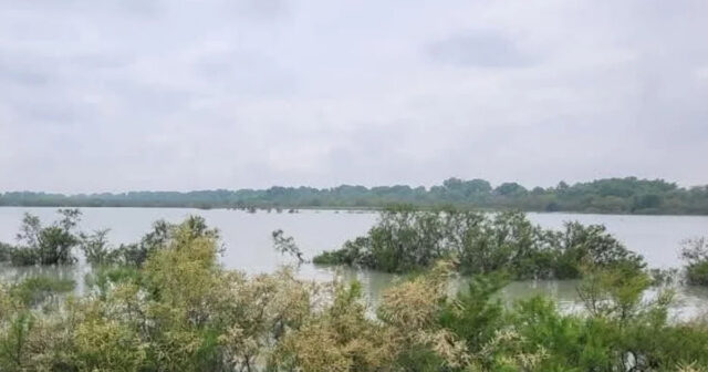 Kürün səviyyəsi qalxdı: Yüzlərlə hektar torpaq SU ALTINDA QALDI – FOTO