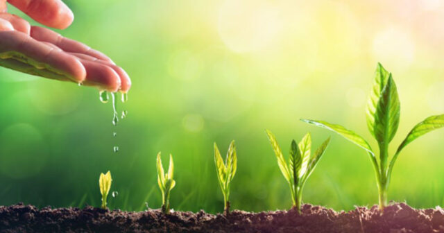 Subsidiya sistemi “axsayır” – bitkiçilikdə ciddi problemlər