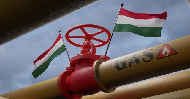 Macarıstana gedən qaz kəmərində terror cəhdi