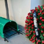 “Dəfn pulu”nu almaq istəyənlərin NƏZƏRİNƏ: Sabahdan….