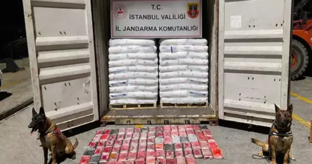 Yük gəmisində 106 kiloqram kokain tapıldı