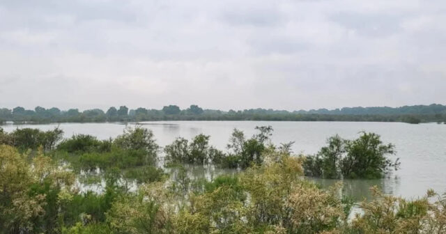 Kür çayı ilə bağlı SON DƏQİQƏ XƏBƏRDARLIĞI