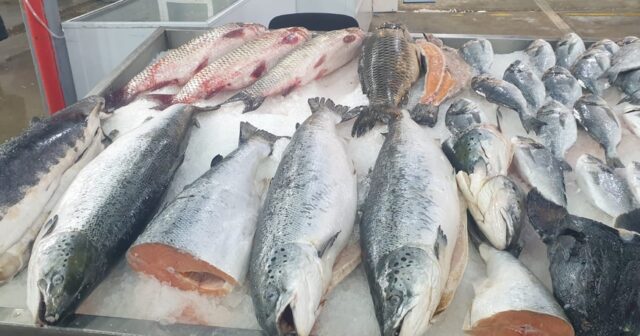 ABŞ İranla barışdı – Bakıda balıq ucuzlaşdı – Reportaj