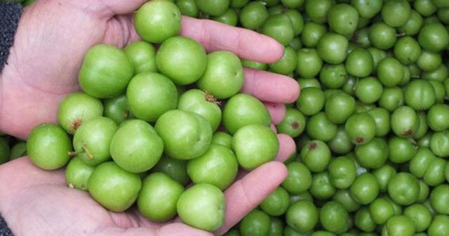 Bazarlarda alçanın 300 qramı bu qiymətə SATILIR