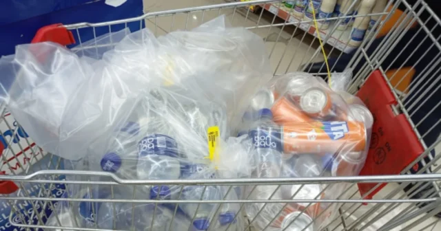 Salyanda marketdə istehlaka yararsız məhsullar aşkarlanıb – FOTO