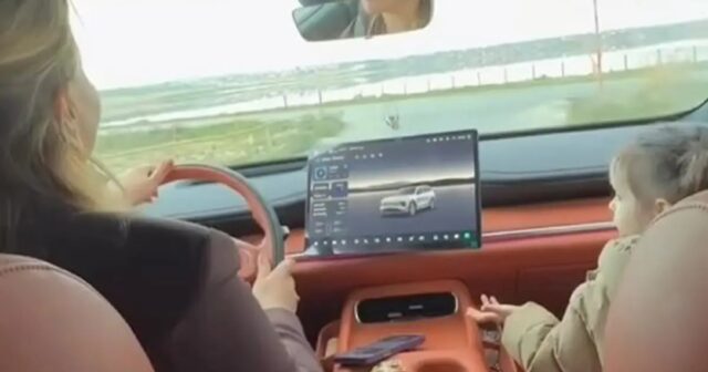 “Qəsdən yayıblar” – Bağça müdiri videosundan DANIŞDI