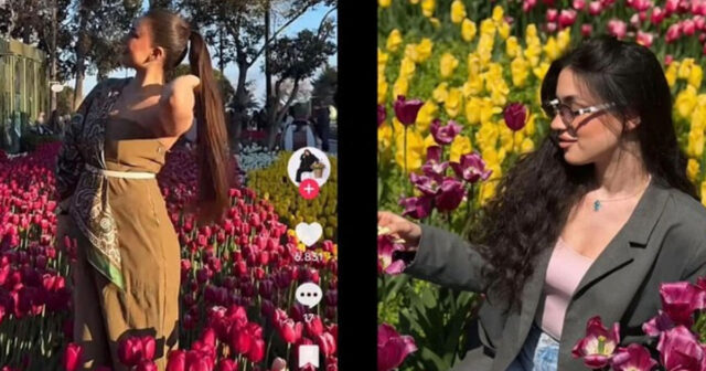 Bulvarda gülləri əzənlər məşhur blogerlər imiş – Adları – FOTO Bulvarda gülləri əzənlər məşhur blogerlər imiş – Adları – FOTO