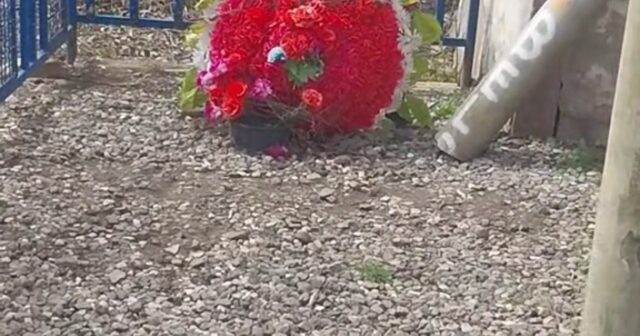 Xudayar şəhid olduğu yerə son nəfəsində bu sözləri yazıbmış – VİDEO