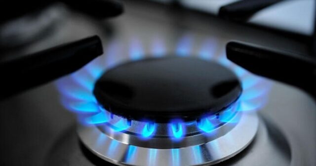 Qazın qiyməti ARTDI – Bu ölkədə