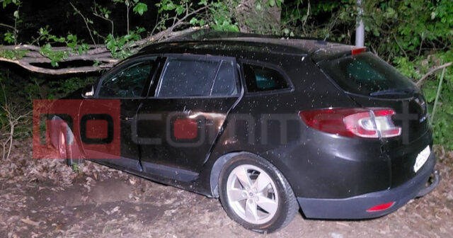 Lənkəranda avtomobil ağaca çırpılıb, ölən var – FOTO