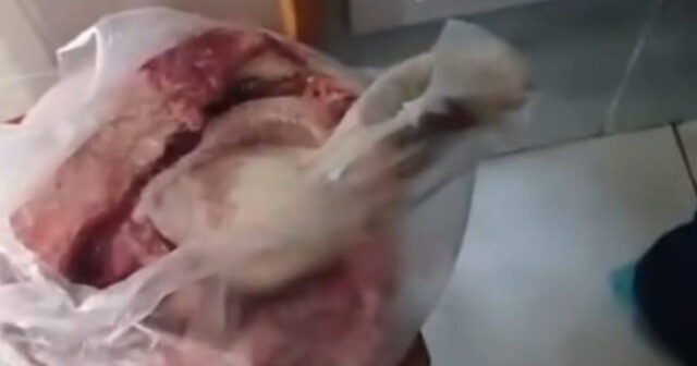 Valideynlər “Esmanur” bağçasından şikayətçidir – “Vəd olunan qidalar verilmir” – VİDEO