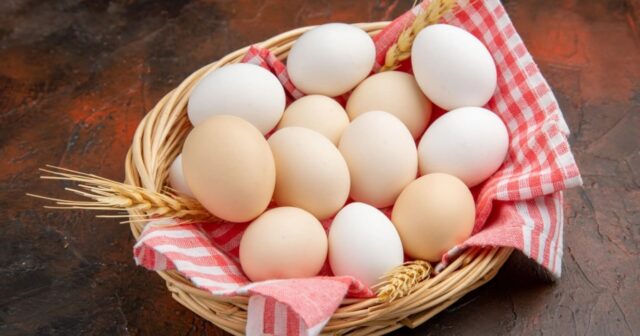 Yumurta ucuzlaşacaq – Bu TARİXDƏN