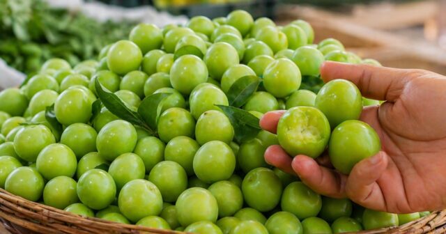 Bakıda 1 kq alça, görün, neçəyə SATILIR