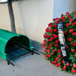 Əməkdar həkim vəfat etdi – FOTO