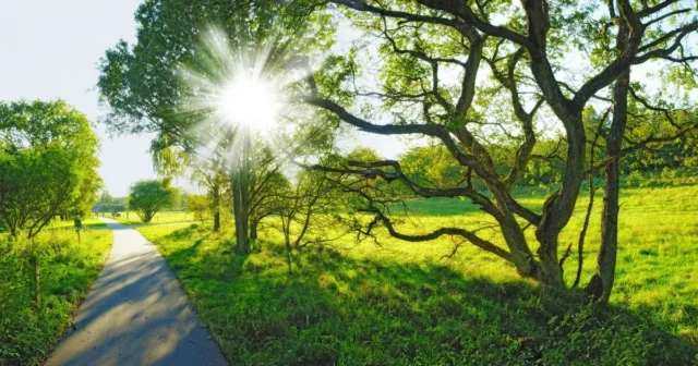 Sabahın hava proqnozu açıqlandı